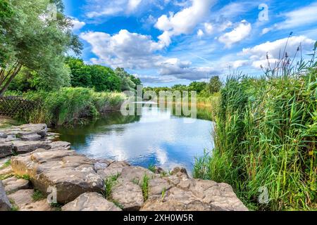 Lago ornamentale d'acqua dolce nel parco distrettuale Jean Moulin - Seine-Saint-Denis, 93100 Montreuil, Francia. Foto Stock