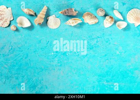 Banner mare con un posto per testo, conchiglie, girato dall'alto su uno sfondo blu, una composizione piatta Foto Stock