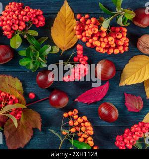 Composizione autunnale quadrata con foglie di caduta e castagne, foto in alto su sfondo di legno blu scuro Foto Stock