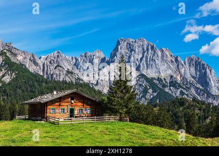 Vista del litzlalm con capanna in Austria Foto Stock