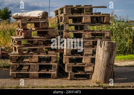 Primo piano di una pila di pallet Euro con un campo sullo sfondo sfocato Foto Stock