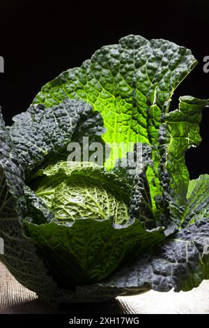 Cavolo di savoia fresco e crudo Foto Stock