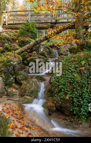 Gola di Rehbachklamm vicino a Scheffau am Wilden Kaiser, Tirolo, Austria Foto Stock