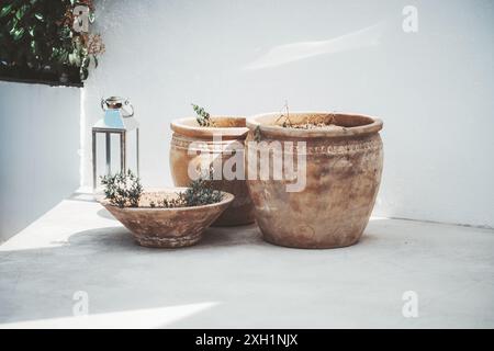 Tre vasi di argilla rustica con piccole piante sono collocati su un patio esterno illuminato dal sole contro una parete bianca. Accanto si trova una lanterna metallica che proietta ombre e Foto Stock