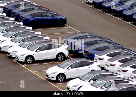 Qualsiasi colore ti piace, purché sia bianco o blu! Linee di auto elettriche Tesla parcheggiate in attesa di distribuzione e consegna ai centri Tesla UK. Foto Stock