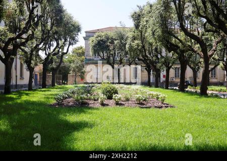 Legge 24/2017 e relativi decreti attuativi 11/07/2024, nel corso del convegno sulla sanità responsabile a tutela dei cittadini per la legge 2472017 e i relativi decreti attuativi, organizzato dalla Fondazione Italia in salute. Napoli ospedale leonardo bianchi Napoli italia Copyright: XFABIOxSASSOxFABIOxSASSOx 2L8A0108 Foto Stock