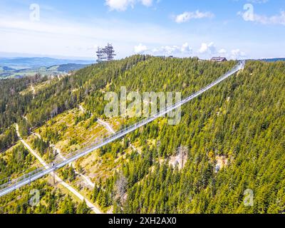 Vista aerea dello Sky Bridge 721, la passerella sospesa più lunga del mondo, che si estende su una montagna boscosa in Cechia. La torre panoramica Sky Walk si erge nelle vicinanze e offre vedute panoramiche Foto Stock