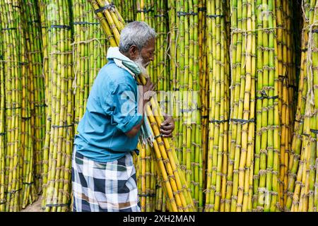 Kolkata, India - 2 novembre 2023: Si vede un lavoratore che lavora con gli zuccherini nel centro della città. Concetto di lavoro informale e laboratorio nero Foto Stock