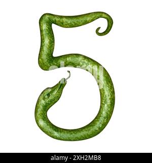 Numero cinque sotto forma di serpente verde come simbolo del felice Capodanno cinese 2025 secondo il segno zodiacale dell'anno del serpente. Acquerello Foto Stock