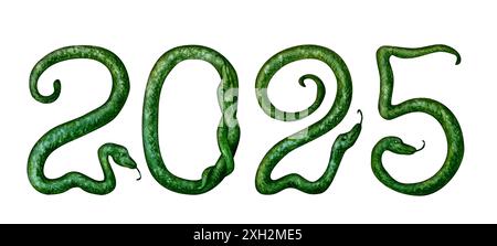 Numero 2025 in forma di serpenti verdi come simbolo del felice Capodanno cinese 2025 secondo il segno zodiacale dell'anno del serpente. Acquerello Foto Stock