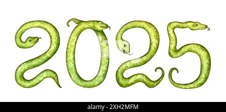 Numero 2025 in forma di serpenti verdi come simbolo del felice Capodanno cinese 2025 secondo il segno zodiacale dell'anno del serpente. Acquerello Foto Stock