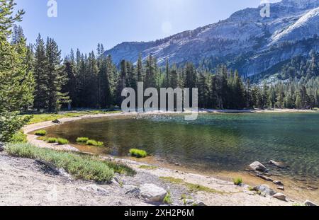 Lago Tenaya nel parco nazionale di Yosemite Foto Stock