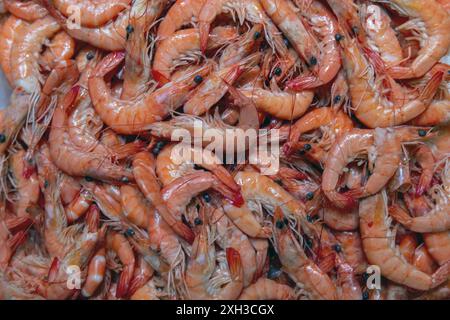 gustosi gamberetti appena bolliti, primo piano Foto Stock