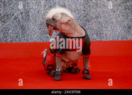 Londra, Regno Unito. 11 luglio 2024. Peggy partecipa al "Deadpool & Wolverine" UK fan Event all'Eventim Apollo di Londra. Credito: SOPA Images Limited/Alamy Live News Foto Stock