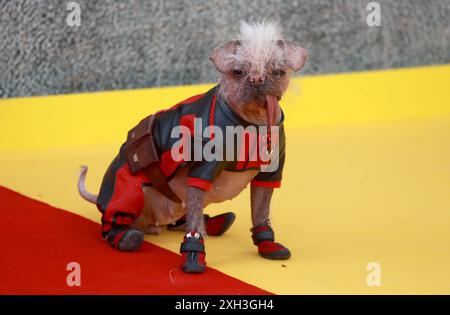 Londra, Regno Unito. 11 luglio 2024. Peggy partecipa al "Deadpool & Wolverine" UK fan Event all'Eventim Apollo di Londra. (Foto di Fred Duval/SOPA Images/Sipa USA) credito: SIPA USA/Alamy Live News Foto Stock