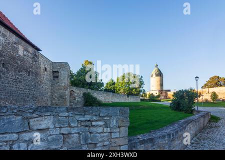 Friburgo (Unstrut): Castello di Neuenburg in , Sachsen-Anhalt, Sassonia-Anhalt, Germania Foto Stock