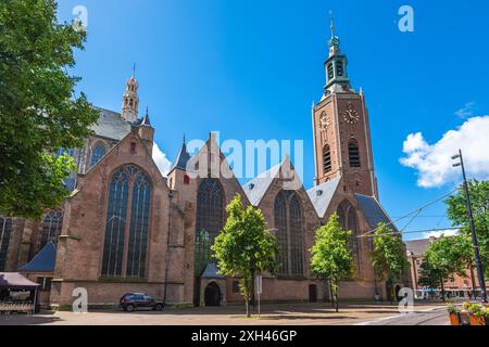 Great Church o St James Church, una chiesa protestante situata a l'Aia, Paesi Bassi, olandese Foto Stock