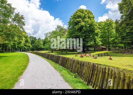 Il Koekamp, il parco dei cervi di ​​a, storicamente parte dell'Haagse Bos situato a l'Aia, nei Paesi Bassi Foto Stock