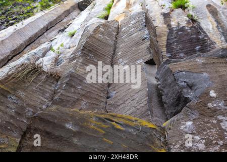 Colonne Tangan, immense pareti rocciose formate da cristalli verticali alti circa 40 m nel mezzo della giungla occidentale degli Iliniza Foto Stock