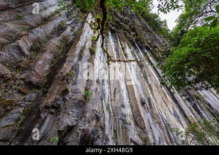 Colonne Tangan, immense pareti rocciose formate da cristalli verticali alti circa 40 m nel mezzo della giungla occidentale degli Iliniza Foto Stock