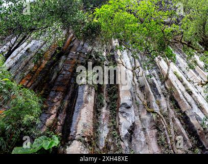 Colonne Tangan, immense pareti rocciose formate da cristalli verticali alti circa 40 m nel mezzo della giungla occidentale degli Iliniza Foto Stock