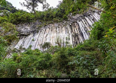 Colonne Tangan, immense pareti rocciose formate da cristalli verticali alti circa 40 m nel mezzo della giungla occidentale degli Iliniza Foto Stock