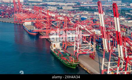 QINGDAO, CINA - 11 LUGLIO 2024 - i container sono caricati e scaricati presso il terminal container di Qianwan del porto di Qingdao, porto di Shandong, Cina, 11 luglio, Foto Stock