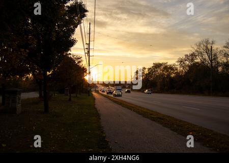 Tramonto dell'ora d'oro - strada trafficata costeggiata da alberi autunnali - pali di servizio - toni caldi emessi dal tramonto - veicoli in movimento su strada asfaltata. TA Foto Stock