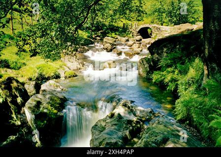 Parco Nazionale del Distretto dei Laghi. Vecchio packhorse alta Svezia ponte su Scandale Beck nelle colline sopra ambleside, cumbria, Inghilterra. Foto Stock