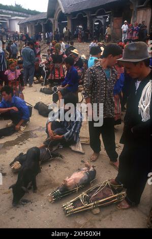 Uomini che vendono suini sul mercato con donne di hmong di fiori in panetteria, prelevati nel 1999, sa Pa, provincia di Lao Cai, Vietnam, Asia Foto Stock