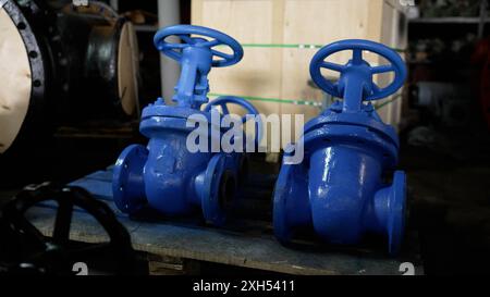 Primo piano di tubi industriali blu. Produzione di tubi industriali per gasdotti e oleodotti. I tappi per tubi blu sono disponibili a magazzino prima della spedizione. Foto Stock