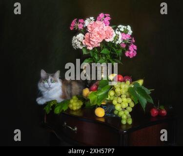 Natura morta con fiori, frutti e curioso gattino Foto Stock