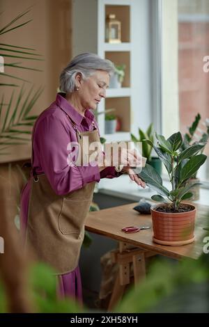 Ritratto verticale laterale di una donna dai capelli grigi che si prende cura delle piante a casa Foto Stock