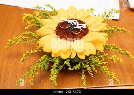 Fedi nuziali legate con nastro bianco adagiato su girasole decorate con gypsophila paniculata su un tavolo di legno Foto Stock