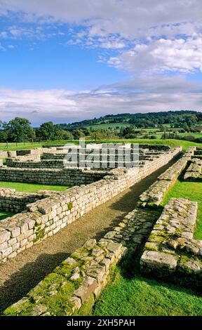 Chesters (Cilurnum) forte militare di epoca romana vicino a Hexham sul Vallo di Adriano Northumberland, Inghilterra, Regno Unito Foto Stock