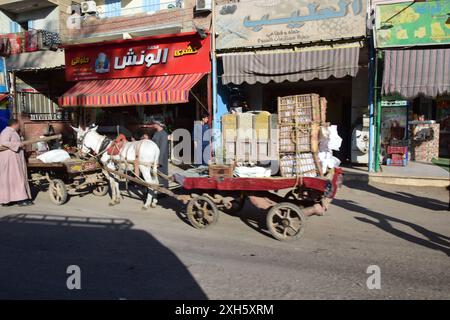 Daily Life in Egypt: Horse-Drawn Cart in a Bustling Marketplace Stock Photo