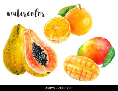 Illustrazione ad acquerello di frutti tropicali per gli amanti dell'arte e della natura che decorano gli spazi Foto Stock