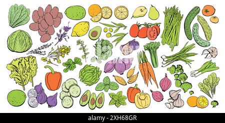 Set di icone vettoriali per frutta e verdura. Illustrazione di frutta e verdura colorate per prodotti agricoli di design, etichetta del mercato negozio vegetariano. Illustrazione Vettoriale