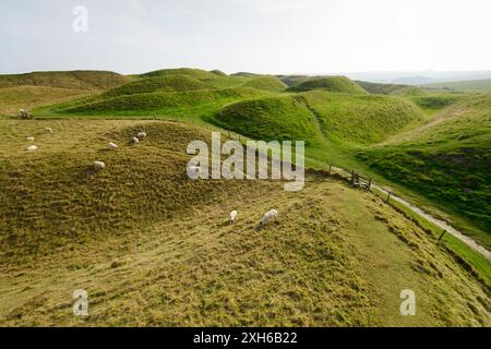 Maiden Castle Iron Age Fort hill, Dorset. Quattro bastioni e tre fossati di complessi lavori di movimento terra le difese dell'entrata occidentale Foto Stock