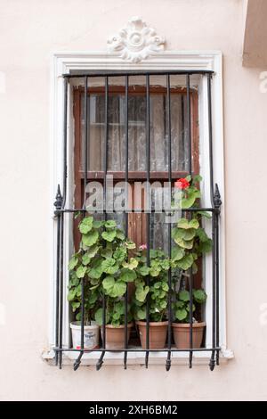 una finestra in legno con fiori in vaso con barre di ferro Foto Stock