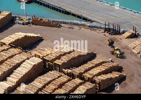 Tronchi grezzi di pino radiata in attesa di essere spediti verso le destinazioni di esportazione e nazionali dal porto di Napier, nell'isola settentrionale della nuova Zelanda Foto Stock