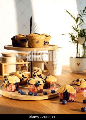 Un primo piano di muffin al mirtillo appena sfornati su un tavolo di legno con mirtilli Foto Stock