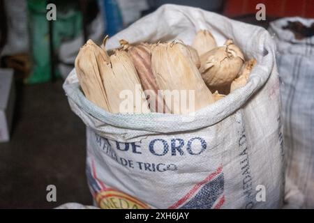 Mais non semigreggio in vendita a Mercado de Abastos, un mercato a Oaxaca, Messico. Foto Stock