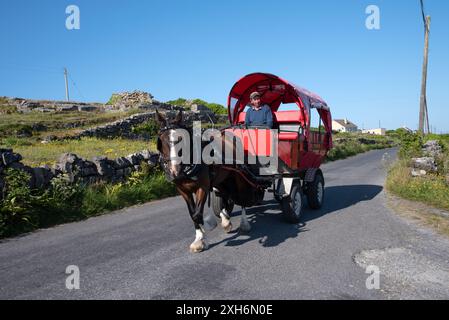 Inishmore, Irlanda, 5 giugno 2024. Cavalli e carrozze sulle isole aran, Inishmore, Irlanda Foto Stock