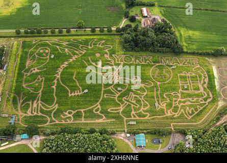 Una vista aerea del labirinto di York di quest'anno che celebra i 25 anni del Gruffalo. Il labirinto di York è il più grande del Regno Unito ed è costituito da oltre un milione di piante di mais vive in un campo di 15 acri. Il labirinto di mais del 25° anniversario di Gruffalo sarà aperto al pubblico da sabato 13 luglio. Data foto: Venerdì 12 luglio 2024. Foto Stock