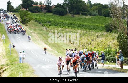 Pau, Francia. 12 luglio 2024. Tappa 13 della gara ciclistica Tour de France 2024, da Agen a Pau, Francia (165, 3 km) venerdì 12 luglio 2024. La 111a edizione del Tour de France inizia sabato 29 giugno e si concluderà a Nizza, in Francia, il 21 luglio. BELGA PHOTO POOL JAN DE MEULENEIR credito: Belga News Agency/Alamy Live News Foto Stock