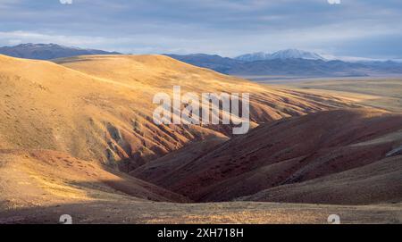 Paesaggio di Altai in autunno. Russia. Montagne innevate e Green Beige Hills Foto Stock