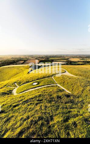 Uffington White Horse. Preistoria Età del Bronzo chalk hill figura Oxfordshire, Inghilterra. Chiudere fino sopra la testa, occhi, orecchie e collo Foto Stock
