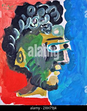 Head of a Man in Profile, 1965 (Pittura) dell'artista Picasso, Pablo (1881-1973) spagnolo. Illustrazione Vettoriale