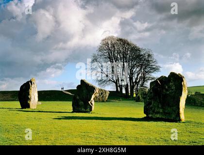 Le persone che circondano la terra lavorano oltre 3 delle pietre erette dell'enorme circolo di pietre preistoriche di Avebury, Wiltshire, Inghilterra Foto Stock